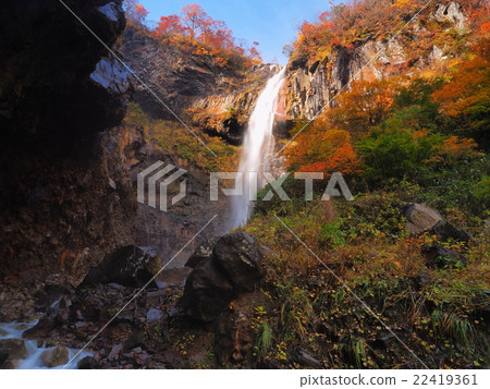 Sorui of autumn leaves 22419361