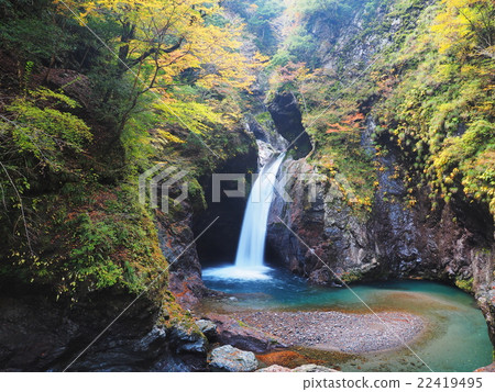 Autumnal colored waterfall of autumn leaves 22419495