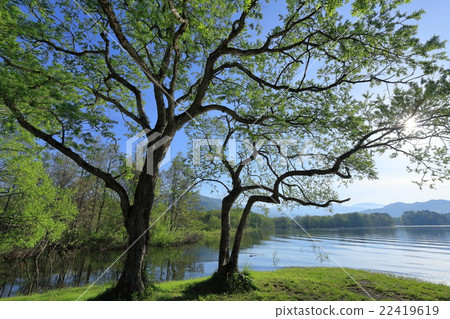 The late Bandai Onogawa Lake 22419619