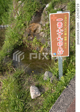 Maruyama Senjita 22419719