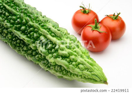 藍葫蘆和番茄_白背 藍葫蘆和番茄_白背 22419911