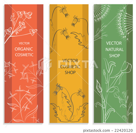 Decorative set, floral, botanical card, banner Decorative set, floral, botanical card, banner 22420120