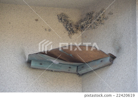 "Swallow's nest mountain" under the eaves (Kurahashijima / Kudo-cho, Kure City, Hiroshima Prefecture) 22420619