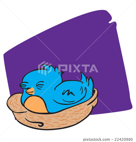 bird bird 22420980