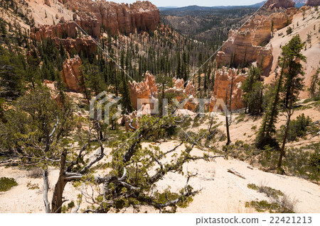 Bryce Canyon National Park 22421213