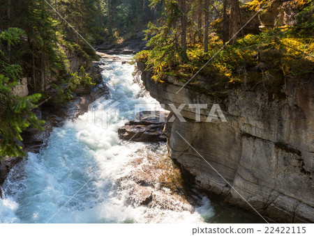 Canyon in Banff NP 22422115