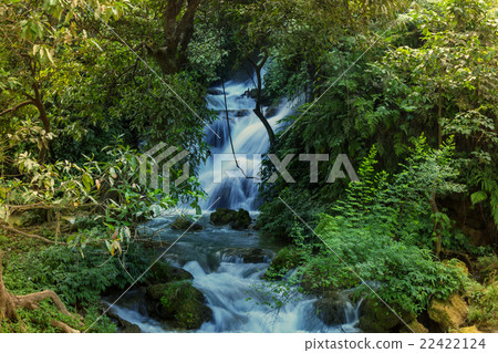 Creek in forest 22422124