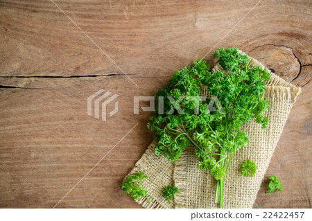 Bunch of parsley on a rustic wooden table Bunch of parsley on a rustic wooden table 22422457
