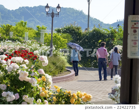 Yoshosei rose park Yoshosei rose park 22422735