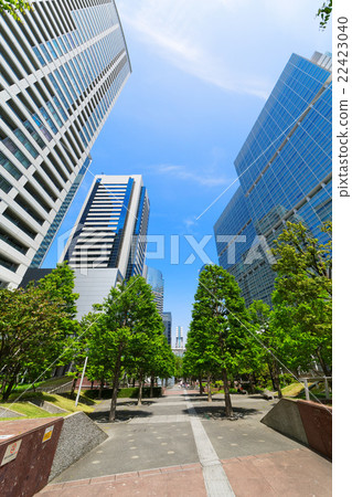 年輕的葉子和新鮮的綠色品川城際和品川大共 年輕的葉子和新鮮的綠色品川城際和品川大共 22423040
