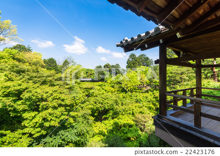 Fresh green seen from Kyoto Tofukuji Temple bridge 22423176