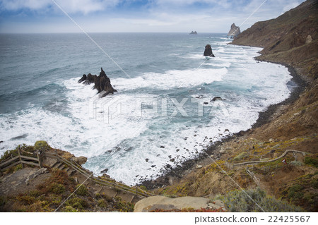 Rocks on coast of Benijo 22425567