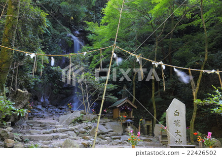 Momoo瀑布 22426502