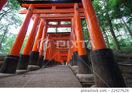 Fushimi-Inari Taisha  Fushimi-Inari Taisha  22427626