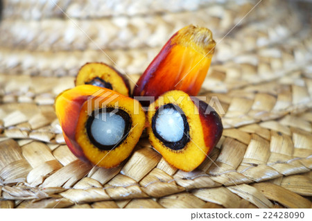 Cut fresh oil palm fruits 22428090