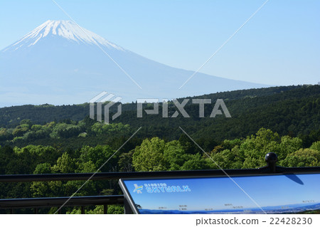 Mishima Sky Walk Mishima Sky Walk 22428230