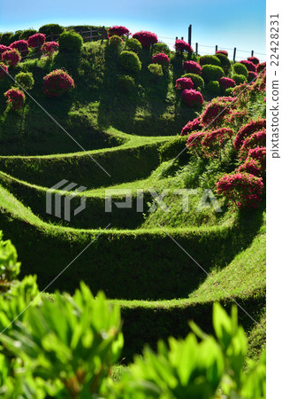 Japan 100 Great castle / Yamanaka Castle (Shizuoka) 22428231