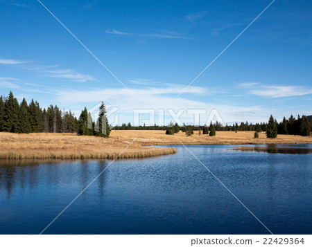 Dead pond, Ore Mountains, Czech republic 22429364