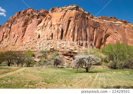 Capitol Reef National Park 22429501