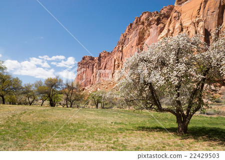 國會礁國家公園 國會礁國家公園 22429503