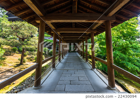 Kyoto Tofukuji Tsutenobashi 22430094