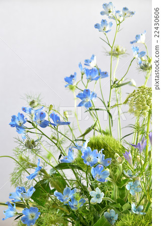 Blue flower arrangement Blue flower arrangement 22430606
