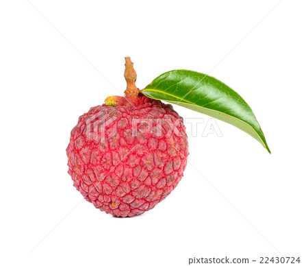 Lychee or Litchi isolated on the white background Lychee or Litchi isolated on the white background 22430724