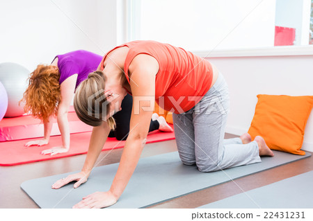 pregnant women exercising during prenatal class pregnant women exercising during prenatal class 22431231