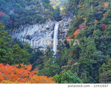 Nachi waterfall of autumn leaves 22432687
