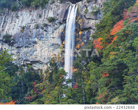 Nachi waterfall of autumn leaves 22432688