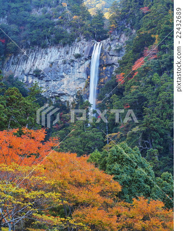 Nachi waterfall of autumn leaves 22432689