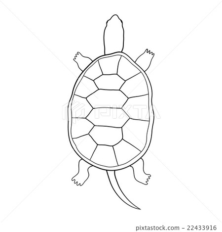 Hand drawn tortoise illustration in cartoon style 22433916