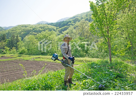 高級割草 22433957