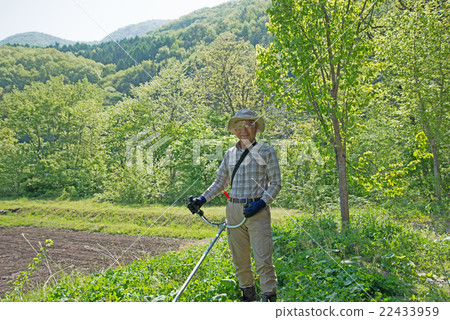 Senior to mowing 22433959