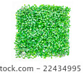 isolated artificial grass, green grass. natural 22434995
