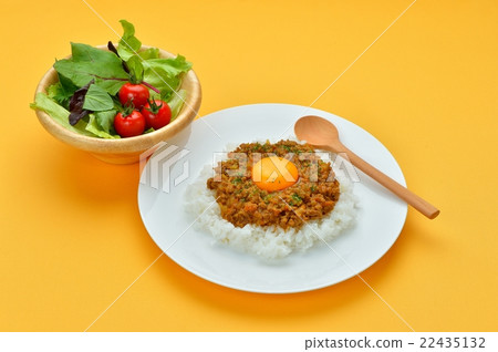 Keema咖哩的圖像（幹咖哩/剁碎的咖哩飯）。 22435132