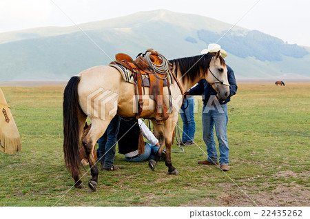 Saddled horse Leather vintage saddle. 22435262