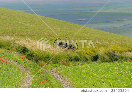 Castelluccio. mower, agriculture. Umbria, Italy Castelluccio. mower, agriculture. Umbria, Italy 22435264