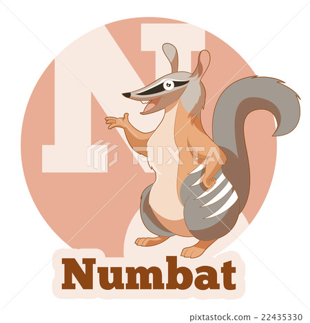 ABC Cartoon Numbat ABC Cartoon Numbat 22435330
