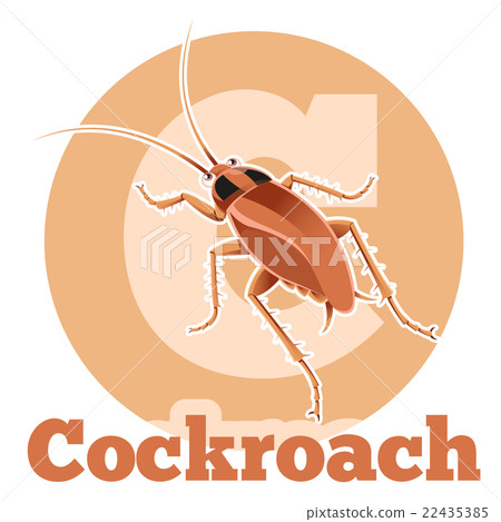 ABC Cartoon Cockroach ABC Cartoon Cockroach 22435385