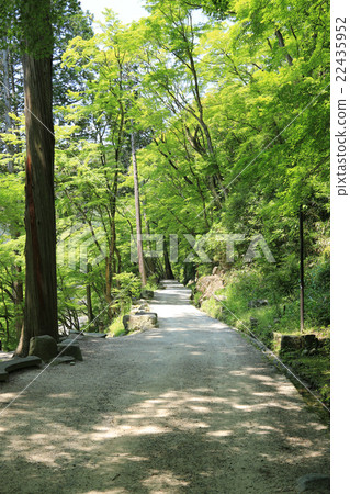 Kaori Arashi in early summer 22435952