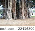 Banyan 3 22436200