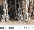 Bajumar 5 22436202