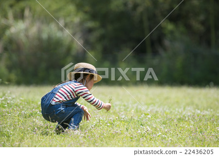Girl picking flowers 22436205