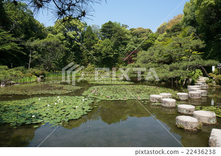 Tourist spots representative of Kyoto "Heian Jingu Shrine": Nakamien 22436238