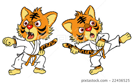 空手道小子 22436525