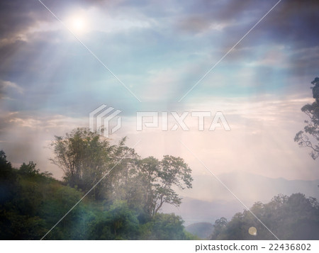 Abstract blur forest background Abstract blur forest background 22436802