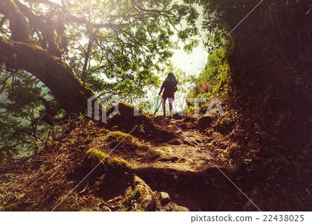 Hike in Nepal jungle Hike in Nepal jungle 22438025