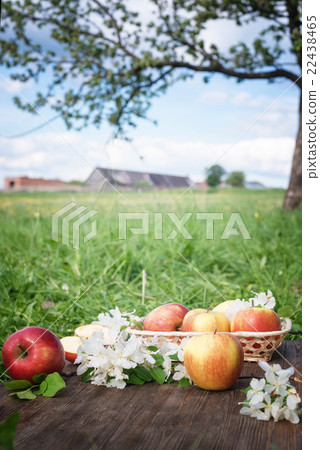 Apples and flowers on a background of green grass 22438465