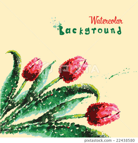 Vector tulip watercolor. Hand drawing Vector tulip watercolor. Hand drawing 22438580
